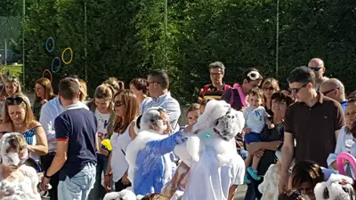 Fiesta Fin de Curso 2016-17, foto 189 de 223