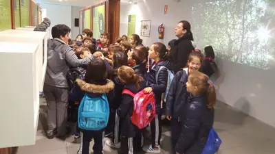 Excursión de 3º y 4º a las fragas del río Mandeo en Chelo – Betanzos, foto 15 de 72
