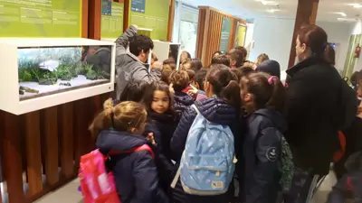Excursión de 3º y 4º a las fragas del río Mandeo en Chelo – Betanzos, foto 16 de 72