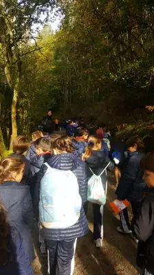 Excursión de 3º y 4º a las fragas del río Mandeo en Chelo – Betanzos, foto 25 de 72