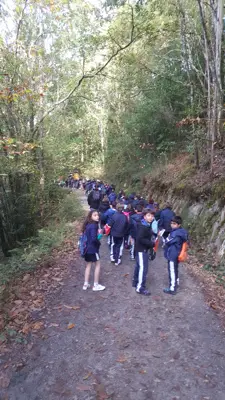 Excursión de 3º y 4º a las fragas del río Mandeo en Chelo – Betanzos, foto 26 de 72