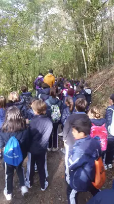 Excursión de 3º y 4º a las fragas del río Mandeo en Chelo – Betanzos, foto 28 de 72