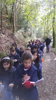 Excursión de 3º y 4º a las fragas del río Mandeo en Chelo – Betanzos, foto 30 de 72