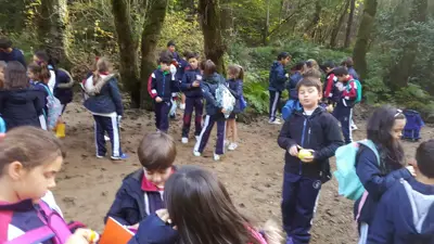 Excursión de 3º y 4º a las fragas del río Mandeo en Chelo – Betanzos, foto 49 de 72