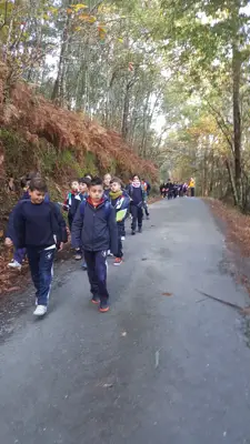 Excursión de 3º y 4º a las fragas del río Mandeo en Chelo – Betanzos, foto 4 de 72