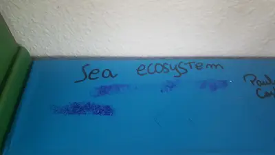 4º prepara sus Ecosistemas, foto 15 de 53