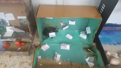 4º prepara sus Ecosistemas, foto 18 de 53