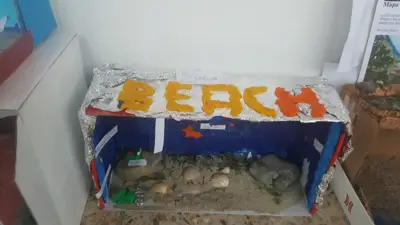 4º prepara sus Ecosistemas, foto 21 de 53