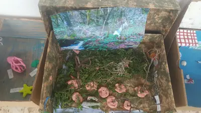4º prepara sus Ecosistemas, foto 33 de 53