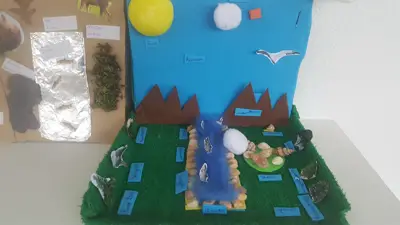 4º prepara sus Ecosistemas, foto 37 de 53