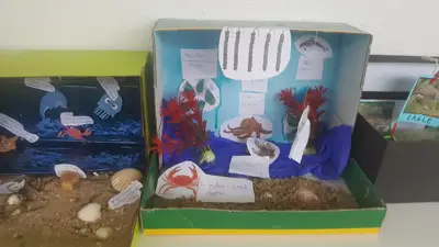 4º prepara sus Ecosistemas, foto 39 de 53