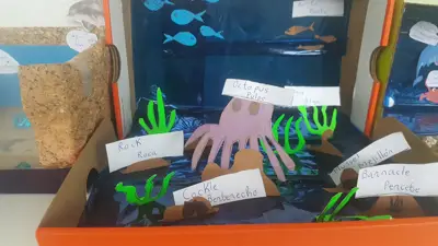 4º prepara sus Ecosistemas, foto 41 de 53