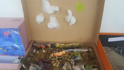 4º prepara sus Ecosistemas, foto 43 de 53