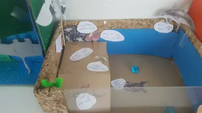 4º prepara sus Ecosistemas, foto 44 de 53