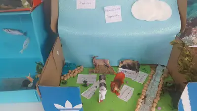 4º prepara sus Ecosistemas, foto 47 de 53