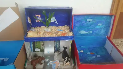 4º prepara sus Ecosistemas, foto 6 de 53