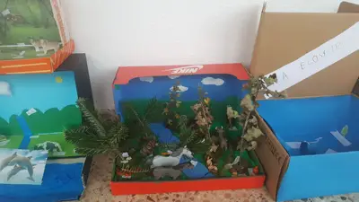 4º prepara sus Ecosistemas, foto 8 de 53