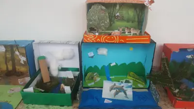 4º prepara sus Ecosistemas, foto 9 de 53