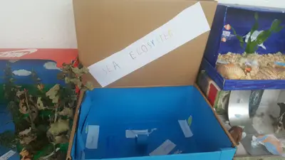 Celebramos la Navidad: belenes de 3º de Primaria, foto 19 de 28