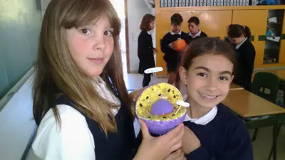 Tercer ciclo de Primaria, foto 40 de 120