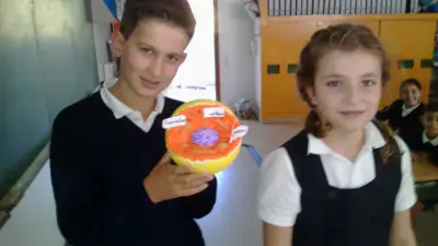Tercer ciclo de Primaria, foto 45 de 120