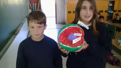 Tercer ciclo de Primaria, foto 47 de 120