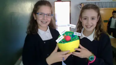 Tercer ciclo de Primaria, foto 49 de 120