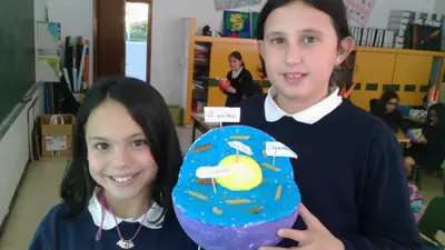 Tercer ciclo de Primaria, foto 51 de 120
