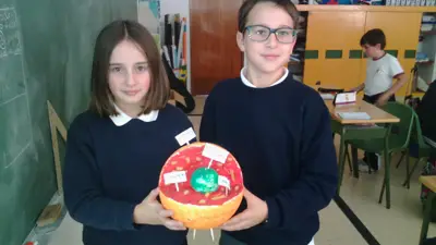 Tercer ciclo de Primaria, foto 59 de 120
