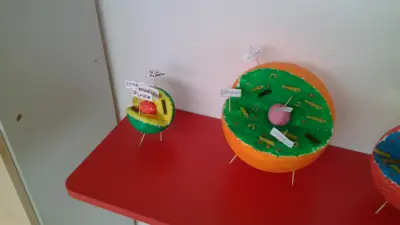 Tercer ciclo de Primaria, foto 62 de 120