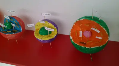 Tercer ciclo de Primaria, foto 63 de 120