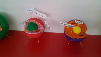 Tercer ciclo de Primaria, foto 64 de 120