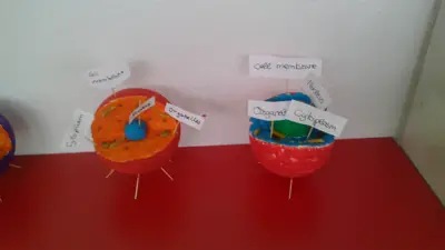 Tercer ciclo de Primaria, foto 65 de 120