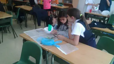 Tercer ciclo de Primaria, foto 98 de 120