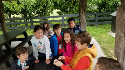 Excursión de 3º y 4º de Primaria a Marcelle. Curso 2017-18, foto 30 de 88