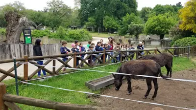 Excursión de 3º y 4º de Primaria a Marcelle. Curso 2017-18, foto 34 de 88