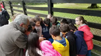 Excursión de 3º y 4º de Primaria a Marcelle. Curso 2017-18, foto 37 de 88