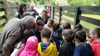 Excursión de 3º y 4º de Primaria a Marcelle. Curso 2017-18, foto 40 de 88