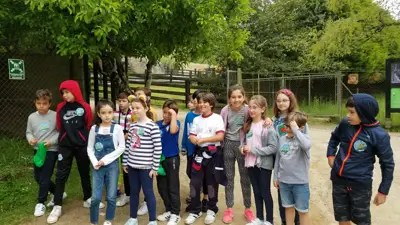 Excursión de 3º y 4º de Primaria a Marcelle. Curso 2017-18, foto 42 de 88