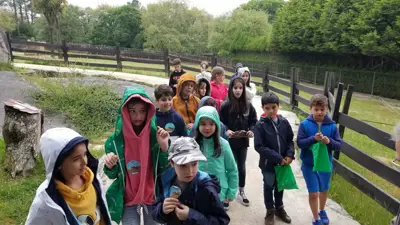 Excursión de 3º y 4º de Primaria a Marcelle. Curso 2017-18, foto 44 de 88