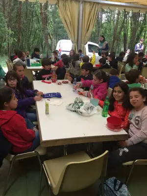 Excursión de 3º y 4º de Primaria a Marcelle. Curso 2017-18, foto 52 de 88