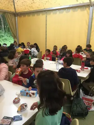 Excursión de 3º y 4º de Primaria a Marcelle. Curso 2017-18, foto 55 de 88