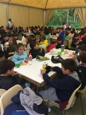 Excursión de 3º y 4º de Primaria a Marcelle. Curso 2017-18, foto 57 de 88